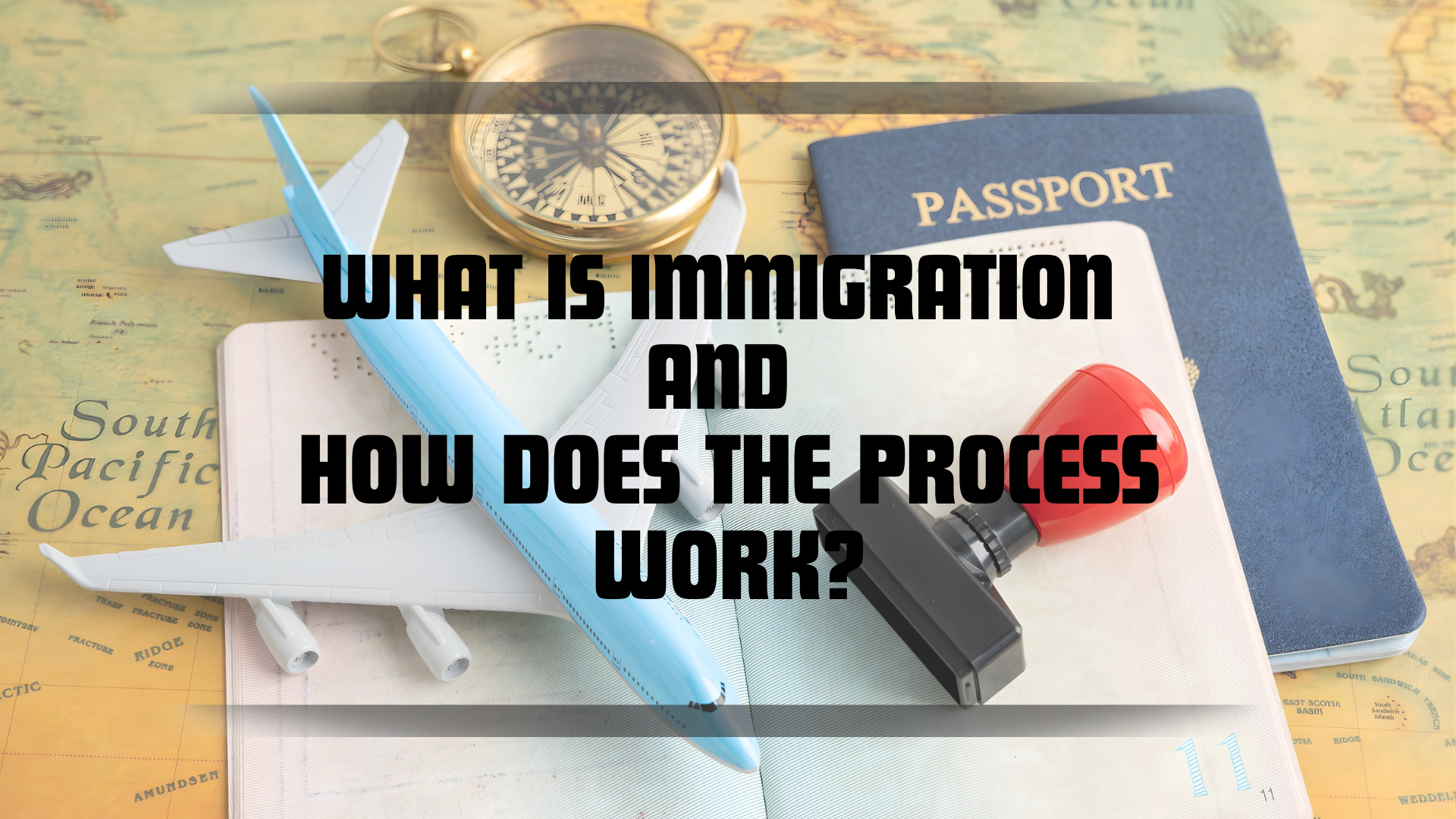 what is immigration